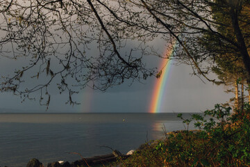 view of double rainbow over the sea with trees