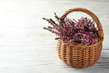 Fototapeta na wymiar Heather branches with beautiful flowers in wicker basket on white wooden table, space for text
