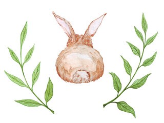 set of watercolor illustration, beige easter bunny back view and sprigs of greenery, natural farming, sticker, scrapbook
