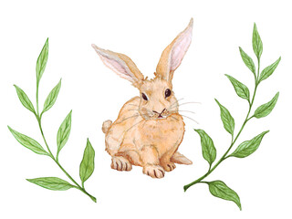 watercolor illustration set, front view beige easter bunny and sprigs of greenery, natural farming, sticker, scrapbook