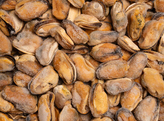 Raw frozen mussels