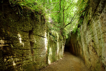 Etruscan Le Vie Cave (Via Cava), the path connecting ancient necropolis and several settlements in the area between Sovana, Sorano and Pitigliano. Citta del Tufo archaeological park.