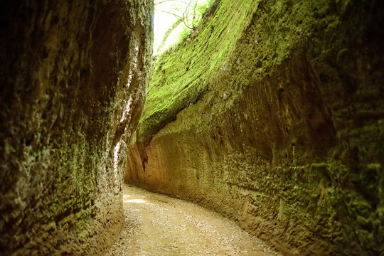 Etruscan Le Vie Cave (Via Cava), the path connecting ancient necropolis and several settlements in the area between Sovana, Sorano and Pitigliano. Citta del Tufo archaeological park.
