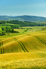 Stunning view of fields and farmlands with small villages on the horizon. Summer rural landscape of rolling hills, curved roads and cypresses of Tuscany, Italy.