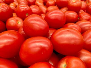 A group of red tomatoes