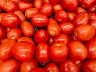 A group of red tomatoes