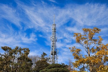 青い秋空にそびえ立つシルバーの電波塔