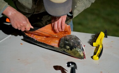 fisherman filleting fish