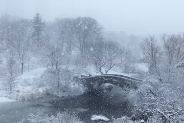 Cercles muraux Pont de Gapstow Central Park Snow