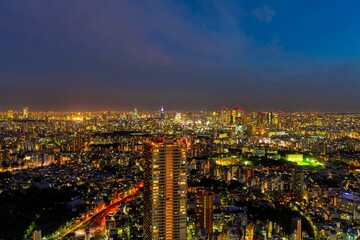 Fototapeta premium 東京夜景 新宿方面を望む