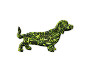 Dog Pet Animal Grass green Logo icon illustration