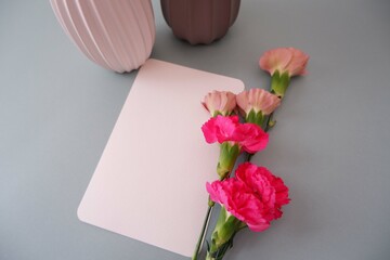 Spring greeting concept. A blank card and pink Carnation decoration on pale green background. Mother's day, Women' s day, Birthday and Father's day concept flower composition.