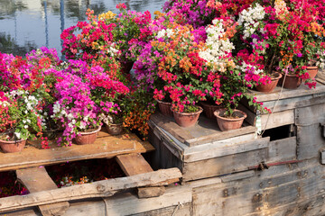 Fototapeta na wymiar Old river boats with flowers during lunar new year celebrations and floating flower market