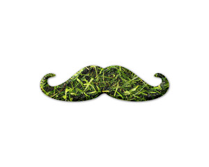 Mustache Moustache man Grass green Logo icon illustration