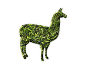 Llama alpaca Lama Grass green Logo icon illustration