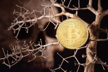 Bitcoin on a dead tree with the blurred skull at back, The concept of investment risk and...