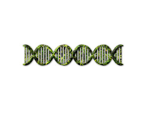 Genetic Gene Biology Grass green Logo icon illustration