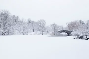 Cercles muraux Pont de Gapstow Central Park Winter