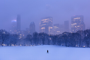 Central Park Winter Skyline - obrazy, fototapety, plakaty