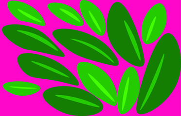 Green leaves on bright pink background.