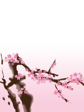 桜 さくら 和柄 和風 和 花見 和風背景 の画像 1 992 件の Stock 写真 ベクターおよびビデオ Adobe Stock
