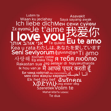 World languages "I love you" vector image	