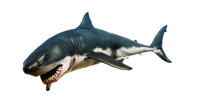 Giant white shark with huge body of water, 3d render concept image with mouth open to the side