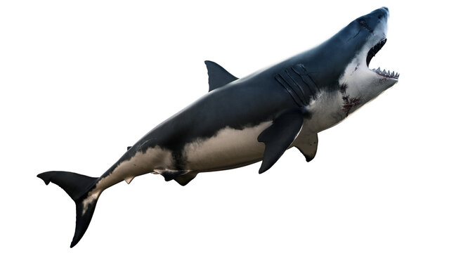 Great white shark giant body sea monster, scary side view 3d rendering concept image