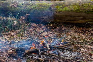 Small smoking bonfire in the autumn forest