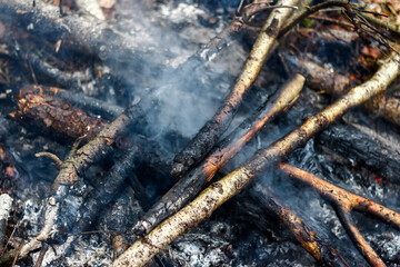 Campfire extinguished by water, smoking charred branches