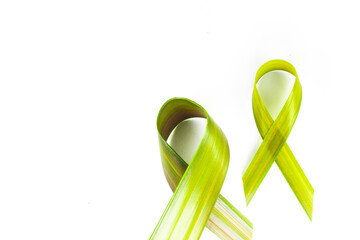 two fresh palm leaf ribbons on an isolated white background. Breast cancer Awareness, male breast...