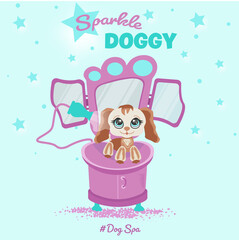 Grooming Salon for dogs