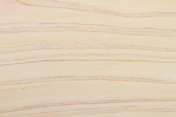 ナチュラル背景素材