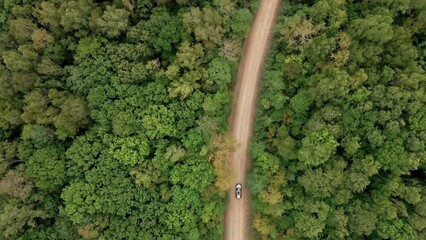 View from above. A car is driving along a dirt forest road. Taiga road in Russia. Car adventure. Green endless forest around the highway. - Powered by Adobe