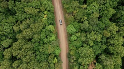 View from above. A car is driving along a dirt forest road. Taiga road in Russia. Car adventure. Green endless forest around the highway. - Powered by Adobe