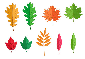 Set of seasonal color leaves. Isolated vector illustration