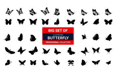 Fototapeta na wymiar Butterfly silhouette icon set, beautiful silhouette collection set black and white vector Illustration 03 