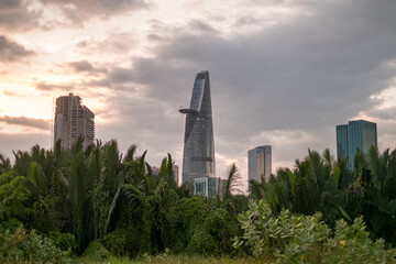 Fototapeta na wymiar Picture of skyscrapers at sunset in the park with green grass and trees. View in metropolis with modern buildings. High quality photo