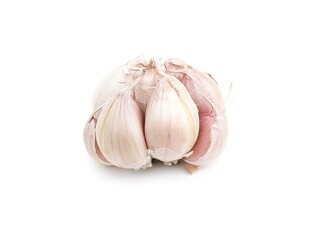 Spicy White Garlic Head with medicinal properties as herbs isolated on white background.