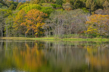 紅葉の映り込み