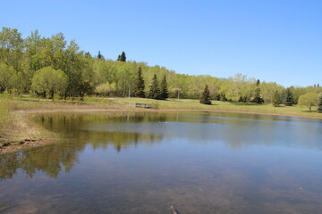 Fototapeta na wymiar Spring On The Lake, Gold Bar Park, Edmonton, Alberta