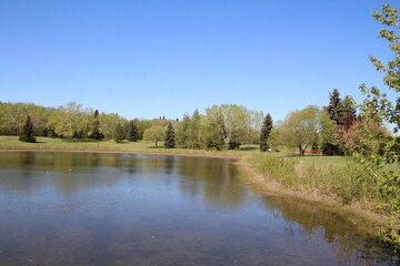 Fototapeta na wymiar landscape with lake, Gold Bar Park, Edmonton, Alberta