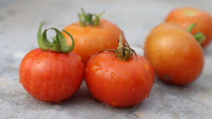 Fresh red tomatoes with blur background.