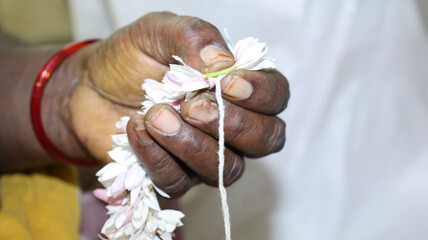 Taken during hand flowering when building flowers. In the dim background