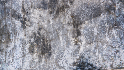 Wall background with cement texture
