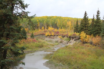 Fall Along The Creek, Whiitemud Park, Edmonton, Alberta