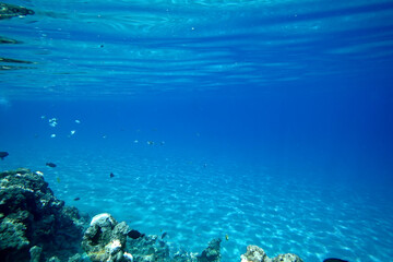 Fototapeta premium Underwater background