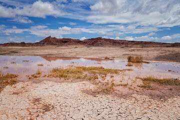 A Postcard of the Arizona Desert