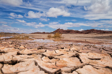 A Postcard of the Arizona Desert