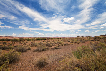 Fototapeta na wymiar A Postcard of the Arizona Desert